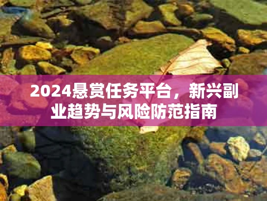2024悬赏任务平台，新兴副业趋势与风险防范指南