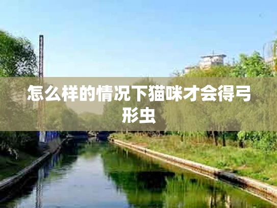怎么样的情况下猫咪才会得弓形虫