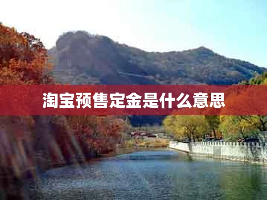 淘宝预售定金是什么意思