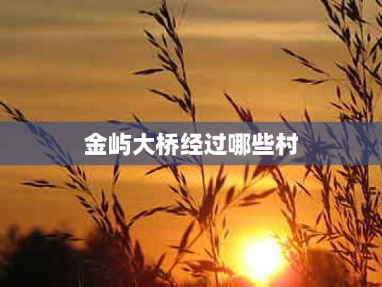 金屿大桥经过哪些村