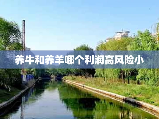 养牛和养羊哪个利润高风险小