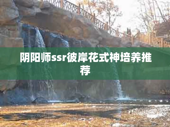 阴阳师ssr彼岸花式神培养推荐