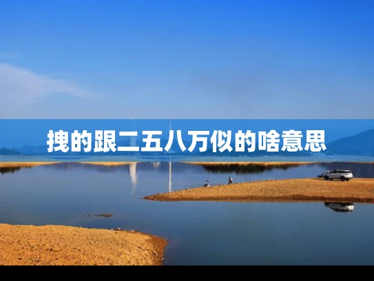 拽的跟二五八万似的啥意思
