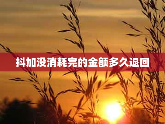 抖加没消耗完的金额多久退回
