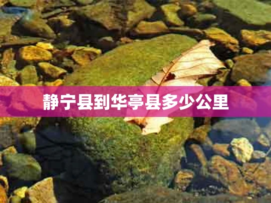 静宁县到华亭县多少公里