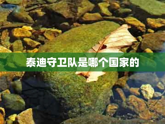 泰迪守卫队是哪个国家的