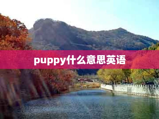 puppy什么意思英语