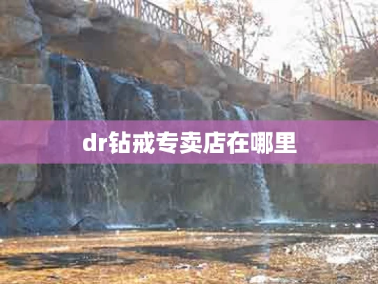 dr钻戒专卖店在哪里
