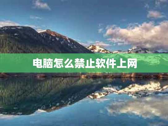 电脑怎么禁止软件上网