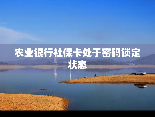 农业银行社保卡处于密码锁定状态