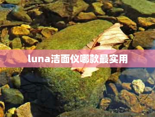 luna洁面仪哪款最实用