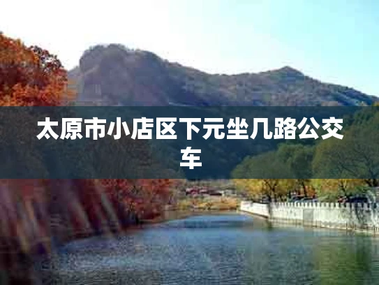 太原市小店区下元坐几路公交车