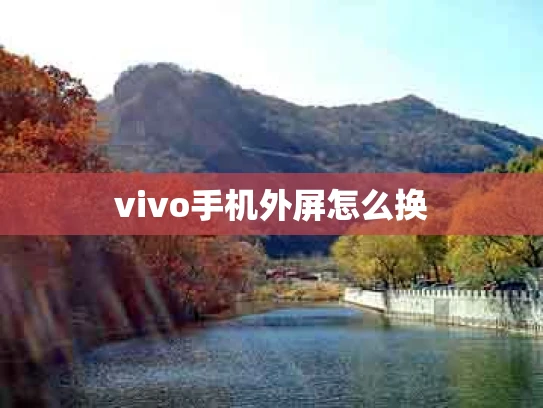 vivo手机外屏怎么换