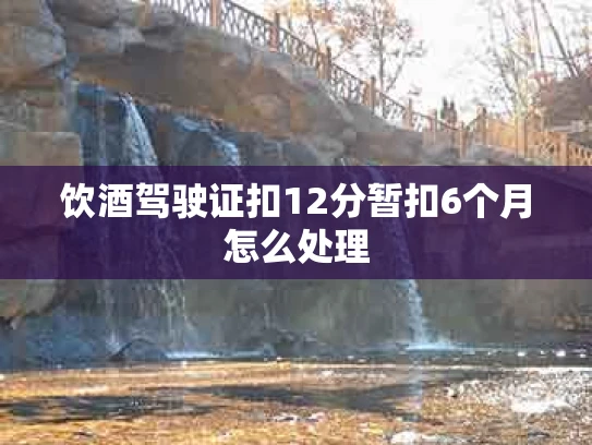 饮酒驾驶证扣12分暂扣6个月怎么处理