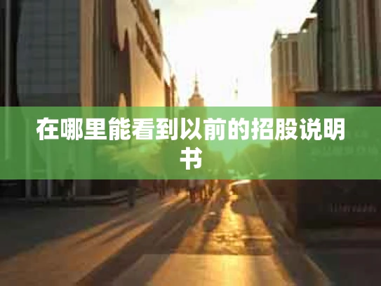 在哪里能看到以前的招股说明书