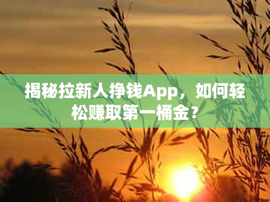 揭秘拉新人挣钱App，如何轻松赚取第一桶金？