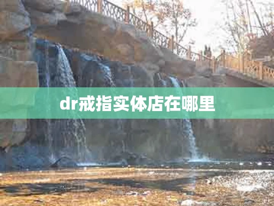 dr戒指实体店在哪里