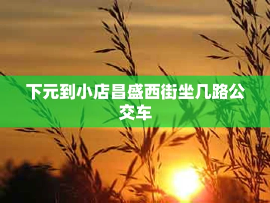 下元到小店昌盛西街坐几路公交车