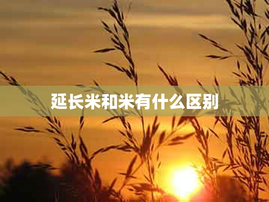延长米和米有什么区别