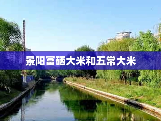 景阳富硒大米和五常大米