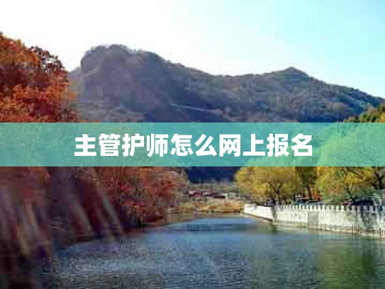 主管护师怎么网上报名