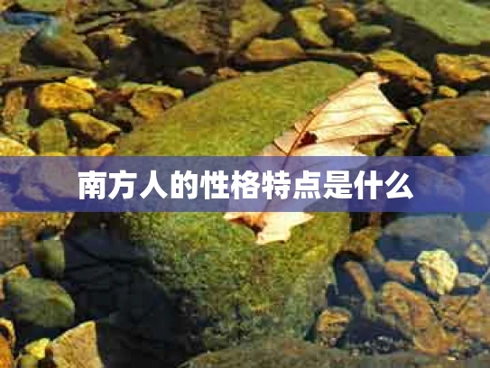 南方人的性格特点是什么