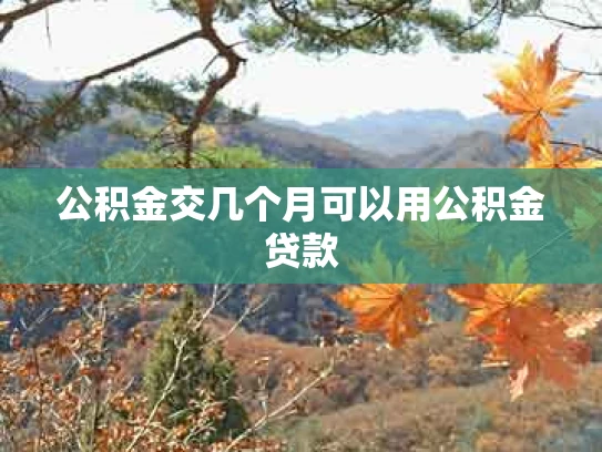 公积金交几个月可以用公积金贷款