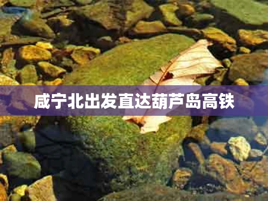 咸宁北出发直达葫芦岛高铁