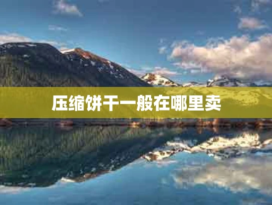 压缩饼干一般在哪里卖