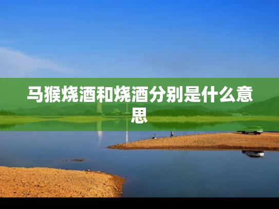 马猴烧酒和烧酒分别是什么意思
