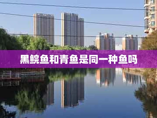 黑鲩鱼和青鱼是同一种鱼吗