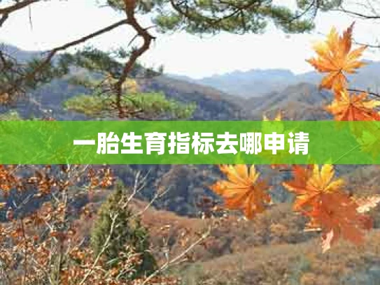 一胎生育指标去哪申请