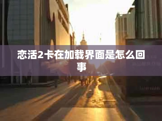 恋活2卡在加载界面是怎么回事