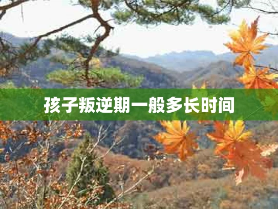孩子叛逆期一般多长时间