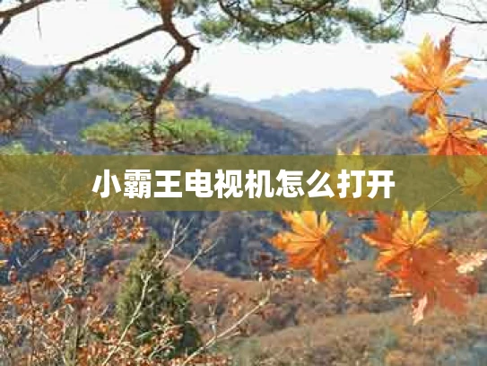 小霸王电视机怎么打开