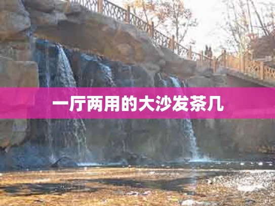 一厅两用的大沙发茶几