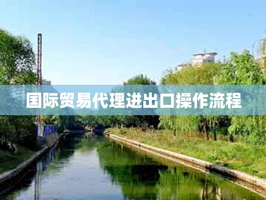 国际贸易代理进出口操作流程