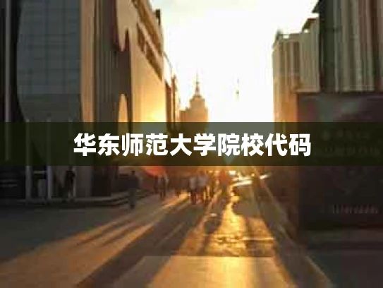 华东师范大学院校代码