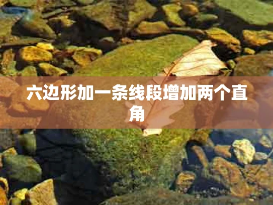 六边形加一条线段增加两个直角