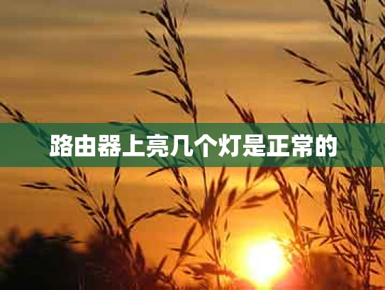 路由器上亮几个灯是正常的