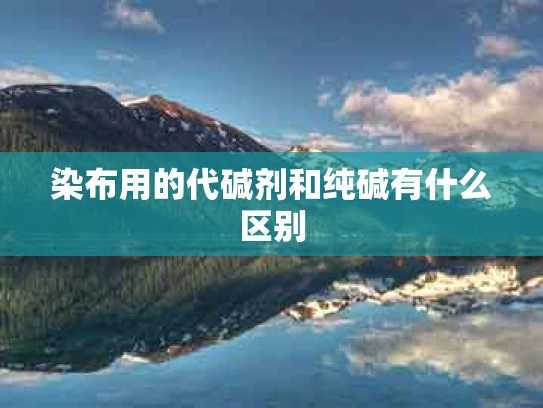 染布用的代碱剂和纯碱有什么区别