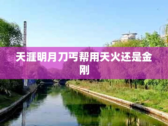天涯明月刀丐帮用天火还是金刚
