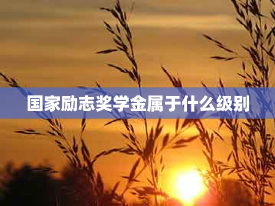 国家励志奖学金属于什么级别