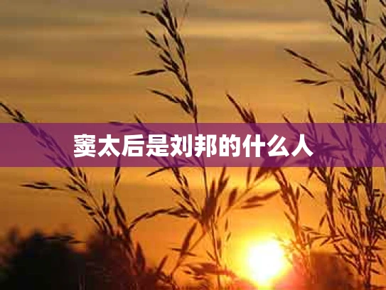 窦太后是刘邦的什么人