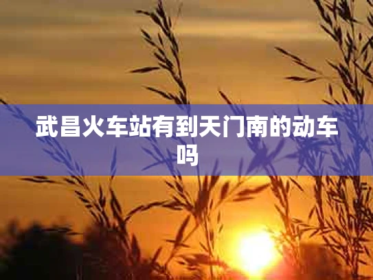 武昌火车站有到天门南的动车吗