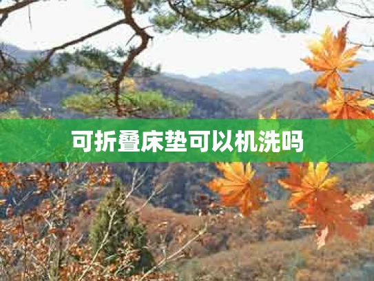 可折叠床垫可以机洗吗