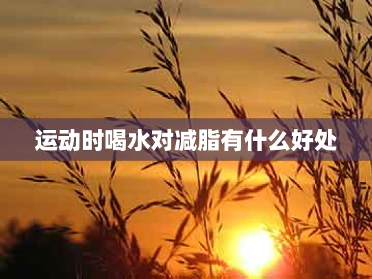 运动时喝水对减脂有什么好处