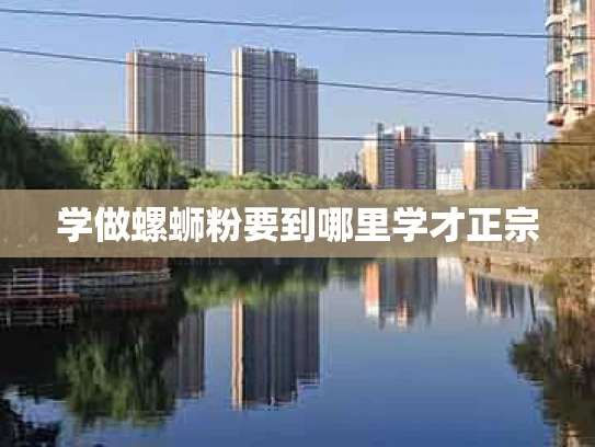 学做螺蛳粉要到哪里学才正宗
