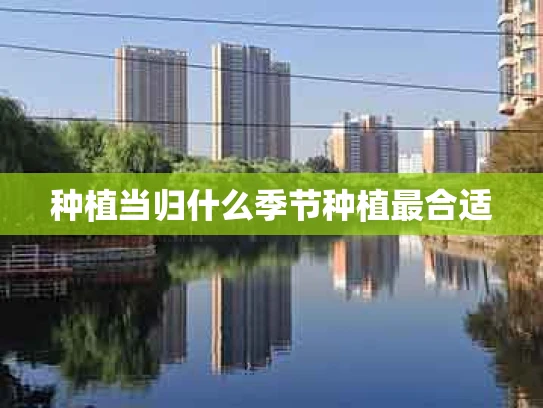 种植当归什么季节种植最合适