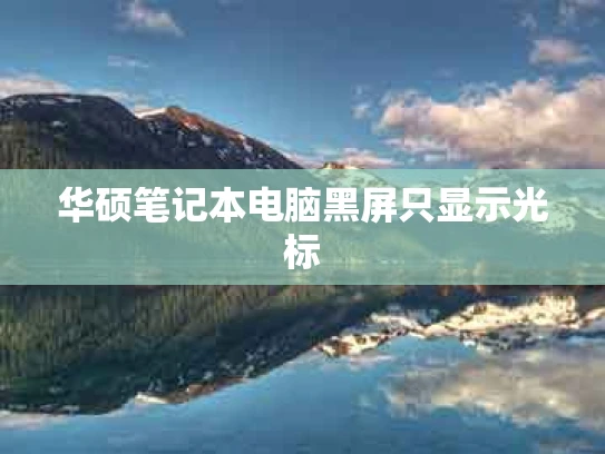 华硕笔记本电脑黑屏只显示光标